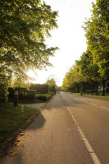 Road European neighborhood town summer trees and grass at golden hour, peaceful rural landscape in Europe.