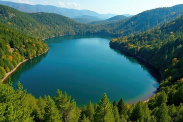 Fototapeta premium Irregular shaped lake with meandering shoreline, forested banks, nature, woodland, trees
