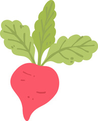 Radish Illustration, Fresh Garden Vegetable Clipart, Rustic Kitchen Art

