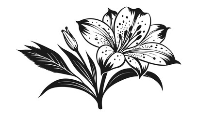 Speckled alstroemeria and tuberose flower illustration
