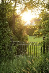 Rustic iron metal fence door overgrown with greenery in lush forest garden landscape, hidden...