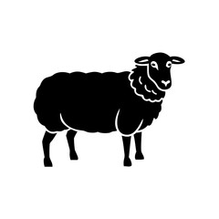 Woolly Black Sheep Silhouette  Graphic Art
