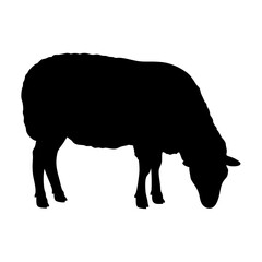 Black Standing Sheep Silhouette Vector Illustration