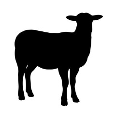 Sheep Silhouette Vector – Standing Black Farm Animal Clipart

