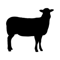 Sheep Silhouette Vector – Standing Black Farm Animal Clipart

