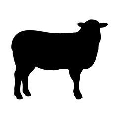 Sheep Silhouette Vector – Standing Black Farm Animal Clipart

