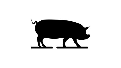 Berkshire pig , black isolated silhouette