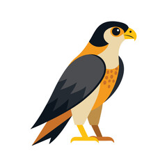 Obraz premium peregrine falcon vector