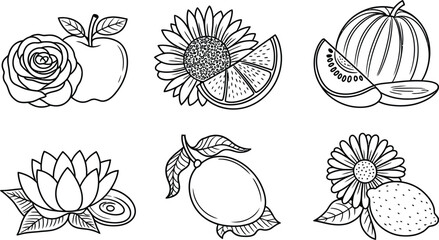 Black and white vector illustration of fruits and flowers collection