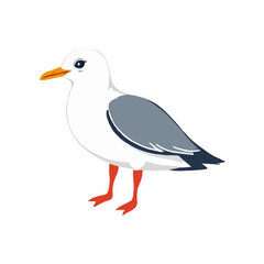 Simple Seagull Illustration
