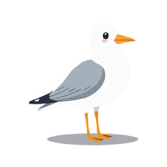 Cute Little Seagull