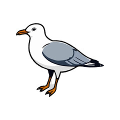 Simplified, Contoured Seagull Illustration