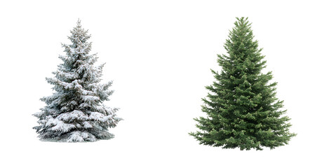 Obraz premium christmas tree isolated on white