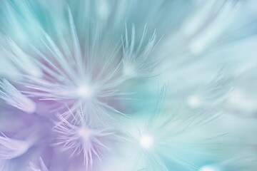 Soft abstract color gradient background, abstract dandelion