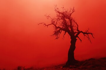 Mysterious Fog-Laden Forest: Red-Hued Spooky Trees Create an Eerie Halloween Atmosphere
