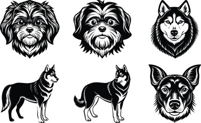 Dogs doodle vector set. Cartoon dog or puppy characters design collection with flat color in different poses. Set of funny pet animals isolated on white background
