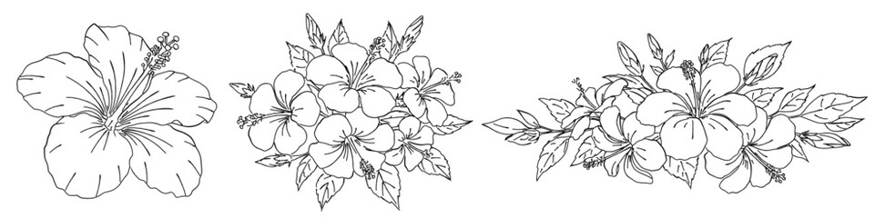 ハイビスカスの花の白黒の線画ベクターイラスト 花束/ブーケ/一輪の花/シンプルでおしゃれな手書きのラインアート