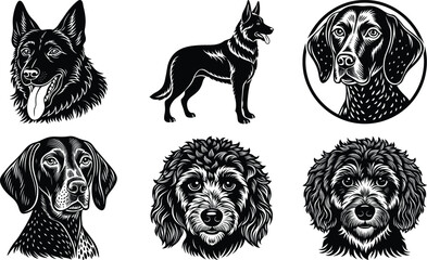 Dogs doodle vector set. Cartoon dog or puppy characters design collection with flat color in different poses. Set of funny pet animals isolated on white background
