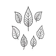 Fototapeta premium hand drawn neem leaves herbal nature sketch
