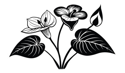 Trillium and jack in the pulpit wildflower illustration