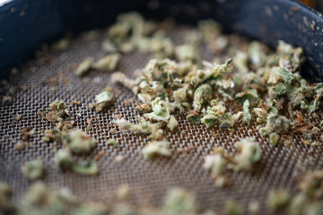 Marijuana Cannabis weed buds in grinder. .