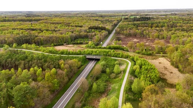 Highway crossing ecoduct wildlife overpass in green forest