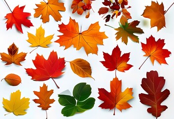 Obraz premium autumn