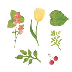 Floral Watercolor Collection Garden Flowers, Leaves, and Berries Clipart. Perfect for DIY wedding invitations, greeting cards, scrapbooking, textile design, packaging, and digital projects.