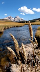 Golden Grass by a River in a Mountainous Tundra Field