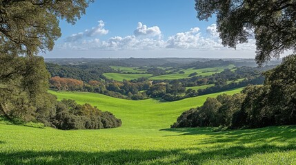Lush Green Hills and Meadow Landscape Framed by Trees on a Sunny Day
