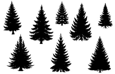 vector set of pir leaves
