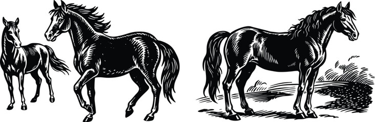 Horse Set , Horse Black and White Round Icon
Horse Icon on Checkerboard Transparent Background

