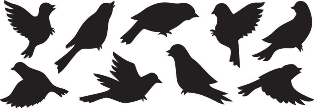 Bird silhouette vector icon set. Flying sparrow dove nightingale. Flight illustration