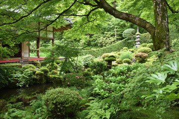 京都大原　三千院庭園　聚碧園(京都市左京区)