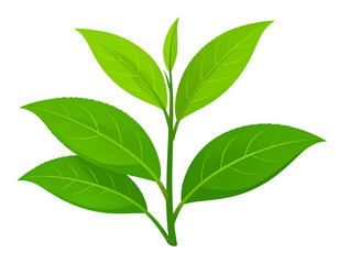 Lush green tea leaves on a stem, vibrant and detailed