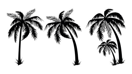 Palm tree silhouette vector illustration isolated on white backgroun