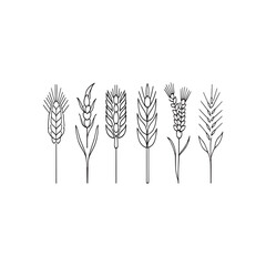 Minimalist Wheat Plant Outline Vector for Branding