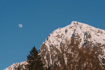 Moon shining over snow covered mountain peak and conifer forest