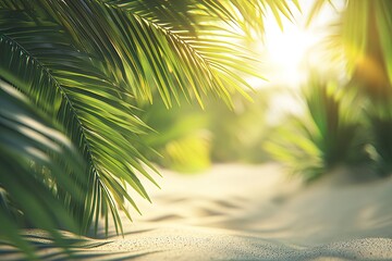Palm leaves frame a sun-drenched sandy beach