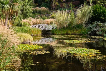 The Lily Pond is one of the nicest spots in the Royal Tasmanian Botanical Gardens - Hobart, Victoria, Australia