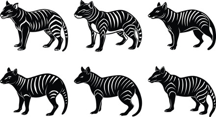 Tasmanian Tiger Silhouettes: Thylacine Extinct Animal Vector Art Illustration, Black and White Graphics, Wildlife Icon Set, Australian Fauna

