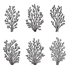 seaweed underwater ocean plant simple line art vector illustration