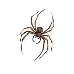 A black mutant spider with thin legs and mandibles. Watercolor illustration. The insect is arachnid, isolated on a white background. For Halloween and witchcraft decor