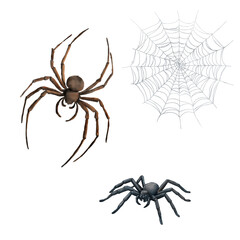 A black mutant spider with thin legs and mandibles. The gray web. Watercolor illustration. A set of insects, arachnids, isolated on a white background. For Halloween decorations and witchcraft.
