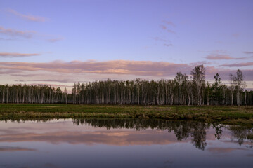 Obraz premium beautiful landscape in the forest, lake and clouds in the sky