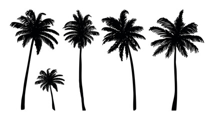 Palm tree silhouette vector illustration isolated on white backgroun