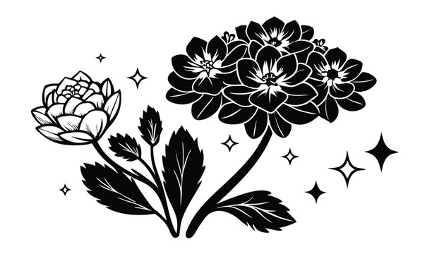 Saxifrage and rockfoil flowers with starry night sky
