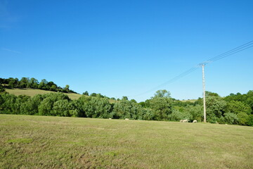Green grass field and clear blue sky