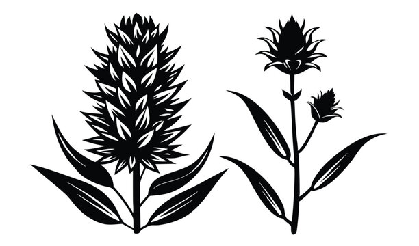 Liatris and blazing star wildflowers with vertical spikes