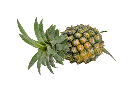 pineapple isolated on transparent background.